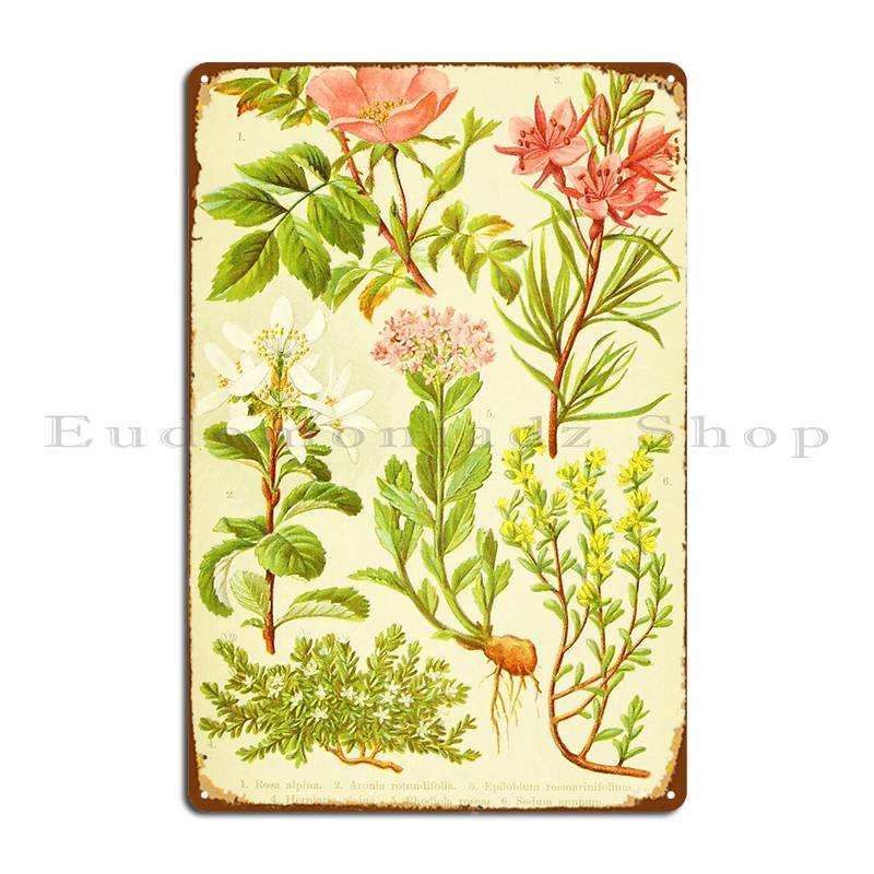 Hd Vintage Flowery Bouquet Des - Home Cinema Wall Design のレビューと価格