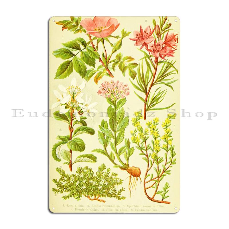 Hd Vintage Flowery Bouquet Des - Home Cinema Wall Design のレビューと価格